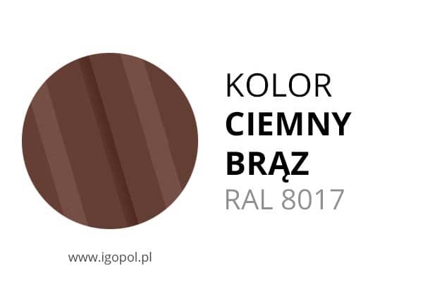 6.Kolor-Garazu-Ciemny-Braz-RAL-8017-min