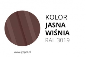 11.Kolor-Garazu-Jasna-Wisnia-RAL-3009-min