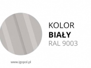 3.Kolor-Garazu-Bialy-RAL-9003-min