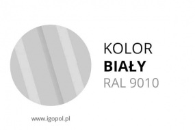 4.Kolor-Garazu-Bialy-RAL-9010-min